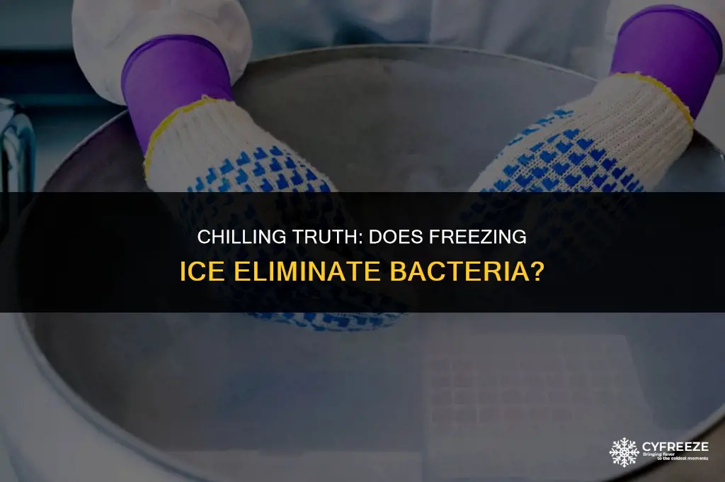 does freezing ice kill bacteria