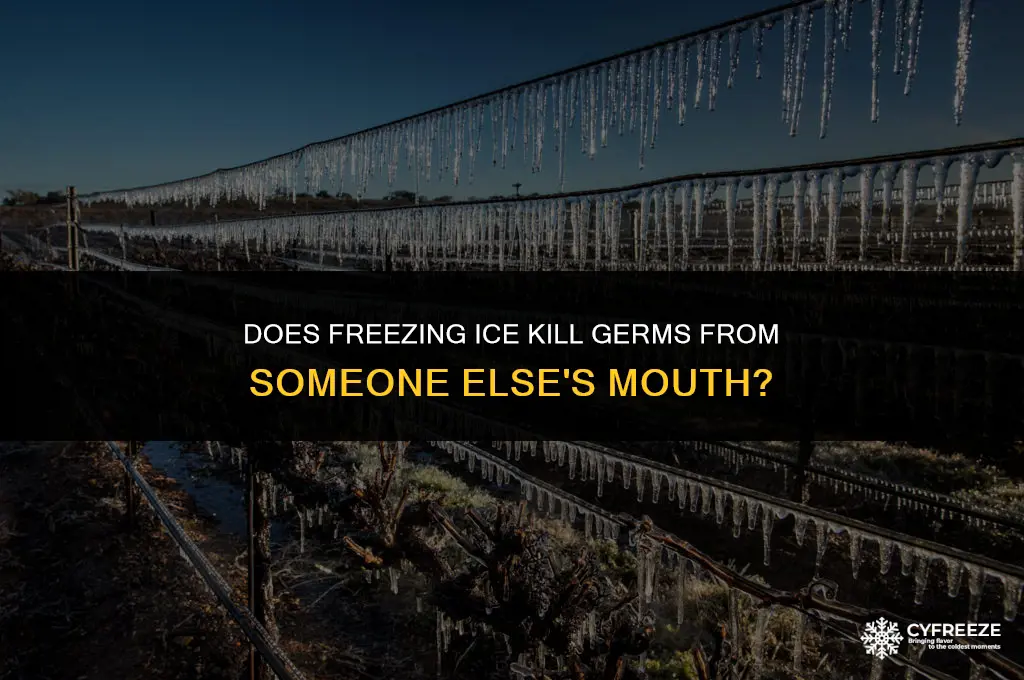 does freezing ice kill germs from someone else mouth