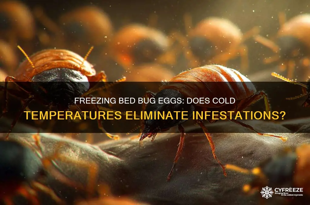 does freezing kill bed bug eggs