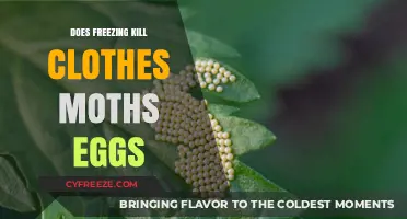 Freezing Clothes Moths Eggs: Effective Solution or Myth?