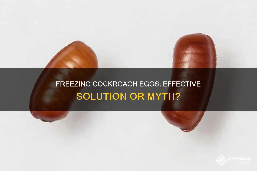 does freezing kill cockroach eggs