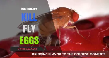Freezing Fly Eggs: Effective Method or Myth? Uncover the Truth