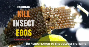 Freezing Temperatures: Effective Method to Eliminate Insect Eggs or Myth?