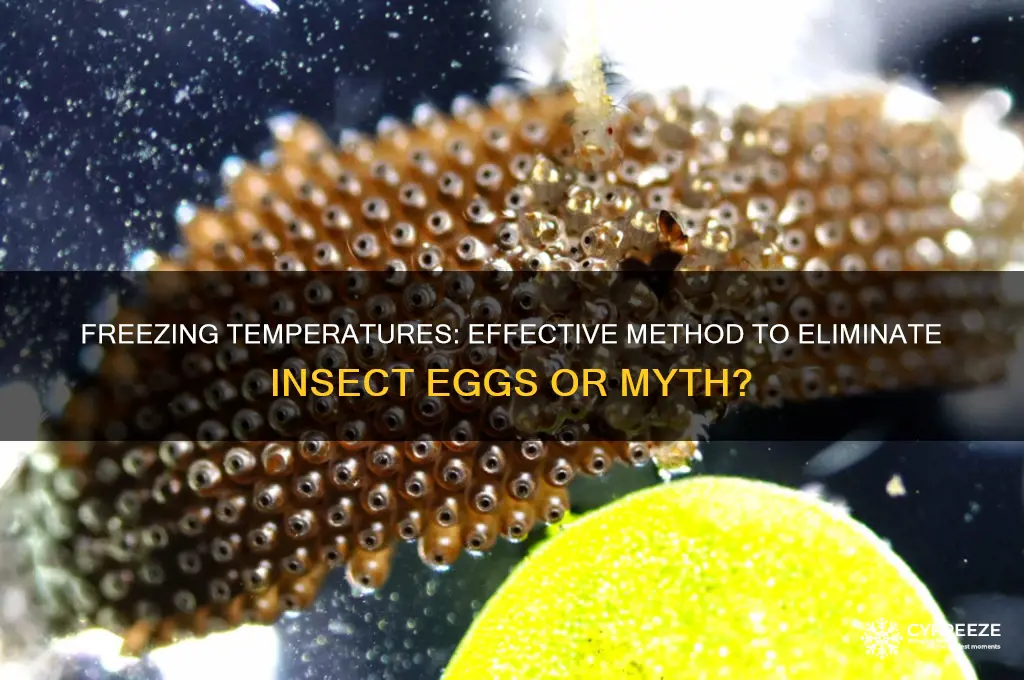 does freezing kill insect eggs
