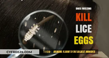Freezing Lice Eggs: Effective Treatment or Myth? Find Out Now
