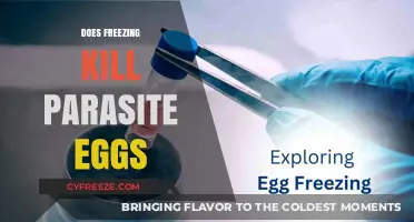 Freezing and Parasite Eggs: Does Cold Temperature Kill or Preserve Them?