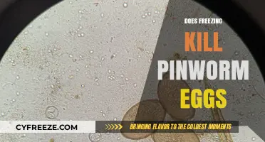Freezing Pinworm Eggs: Effective Method or Myth? Expert Insights