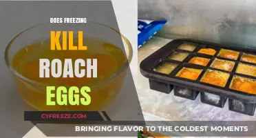 Freezing Roach Eggs: Effective Pest Control or Myth?