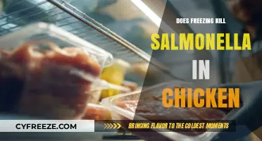 Chilling Truth: Can Freezing Really Kill Salmonella in Chicken?