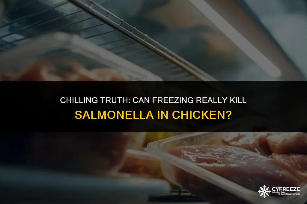 does freezing kill salmonella in chicken