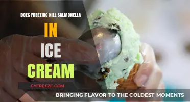 Chilling Truth: Does Freezing Ice Cream Kill Salmonella?