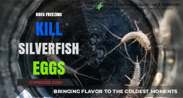 Freezing Silverfish Eggs: Effective Method or Myth? Find Out Now