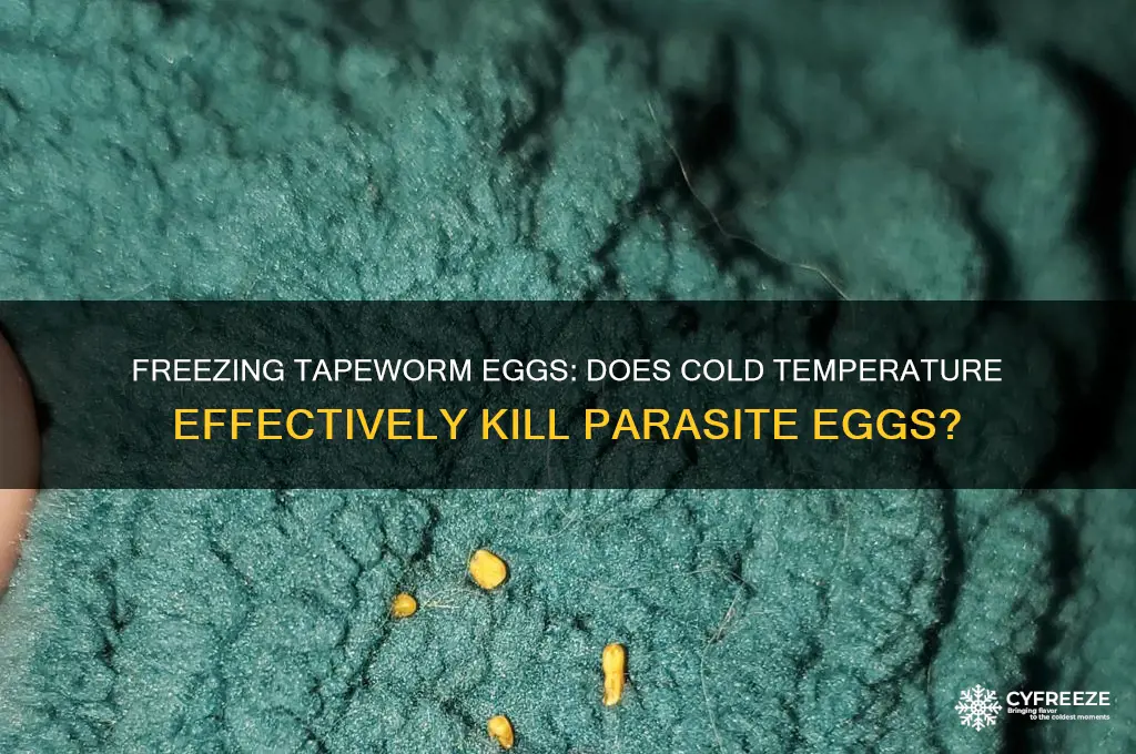 does freezing kill tapeworm eggs