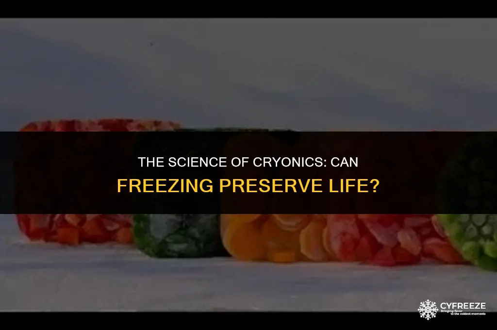 does freezing make people alive