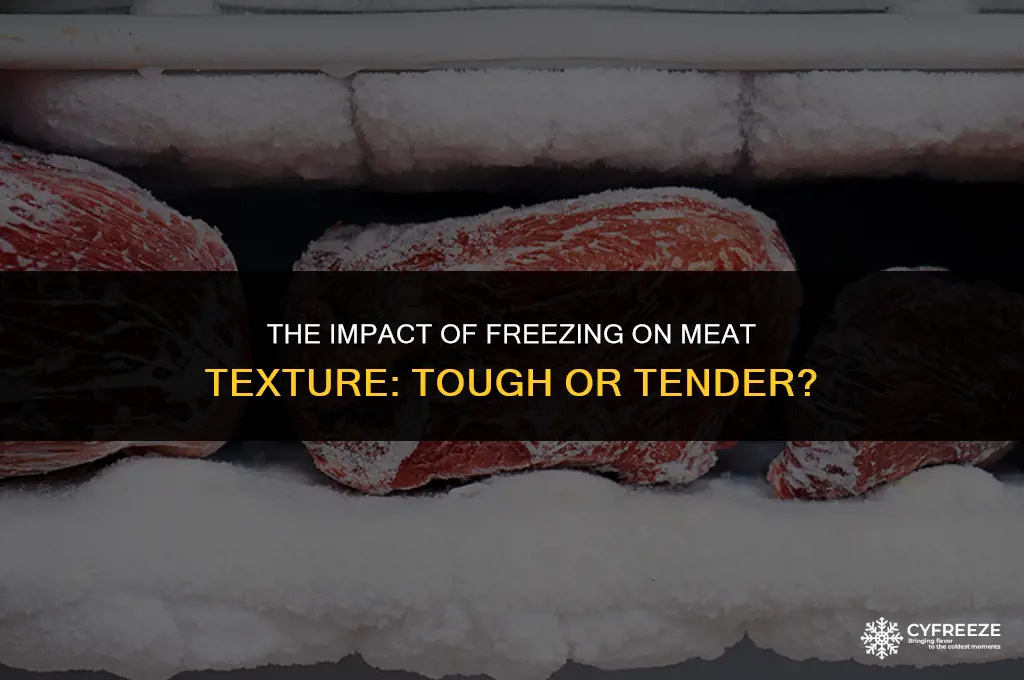 does freezing meat make it tough