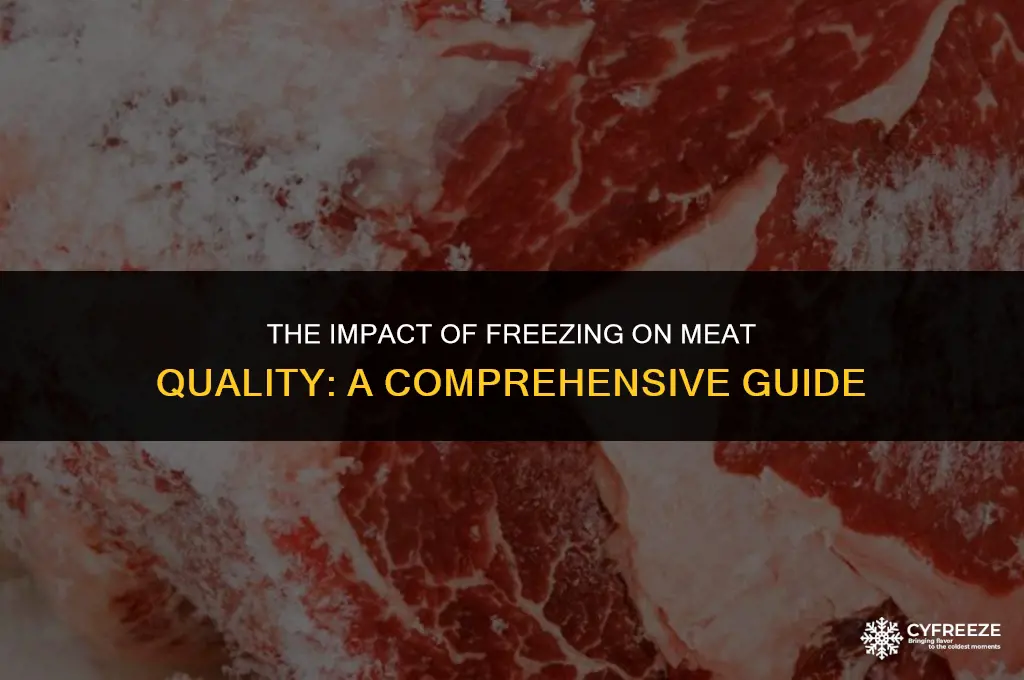 does freezing meat make it worse