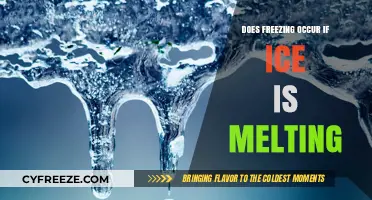 Melting Ice: Understanding the Intricacies of Freezing and Thawing