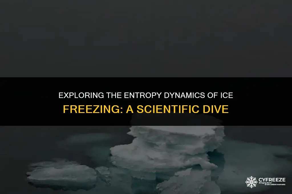does freezing of ice have positive or negative entropy