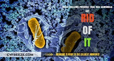 Freezing Salmonella: Does Cold Temperature Kill the Bacteria in Food?