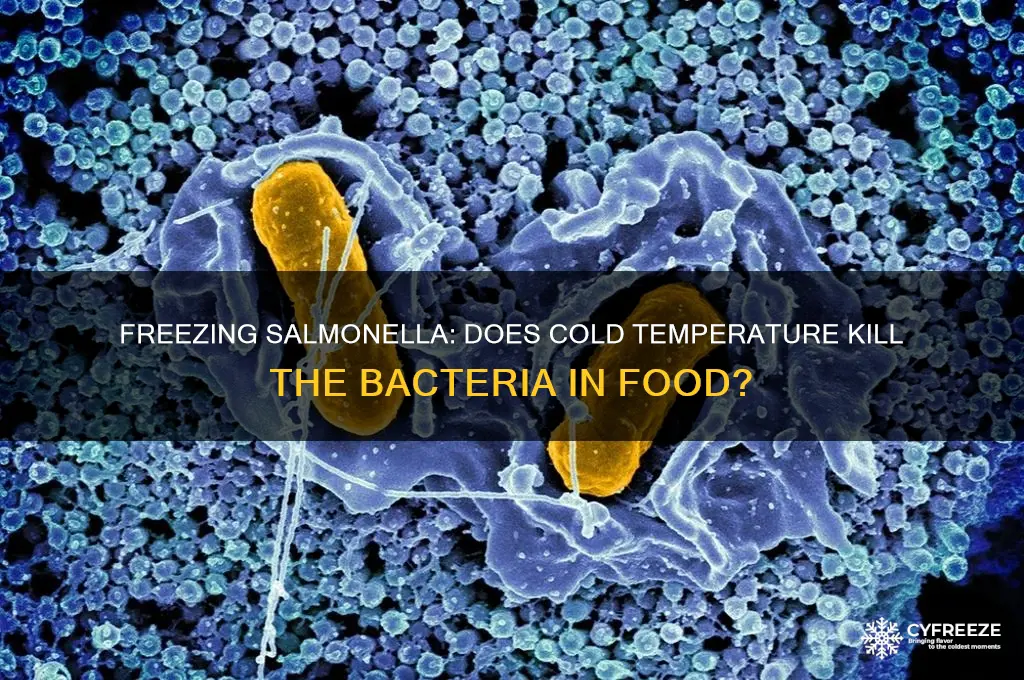does freezing product that has samonela get rid of it