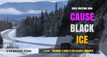 The Hidden Danger: How Freezing Rain Leads to Black Ice