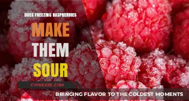 The Impact of Freezing on Raspberry Flavor: Sour or Sweet?