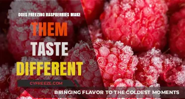 The Impact of Freezing on Raspberry Flavor: A Taste Test