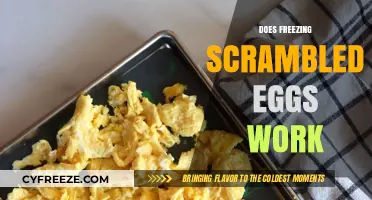 Can You Freeze Scrambled Eggs? A Complete Guide to Meal Prep