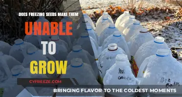The Impact of Freezing on Seed Viability: Can They Still Grow?