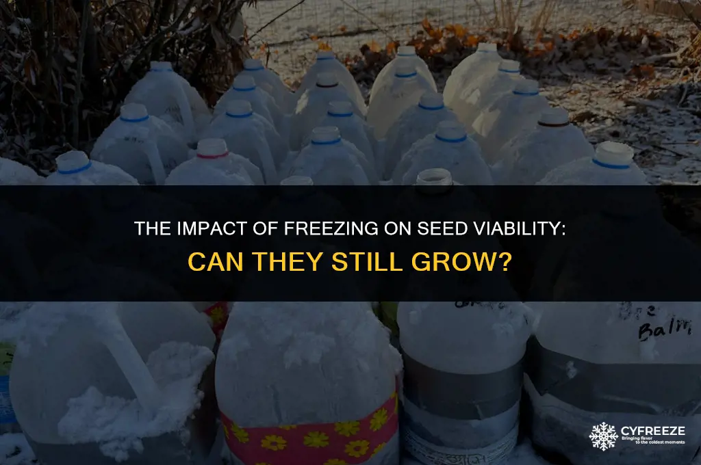 does freezing seeds make them unable to grow