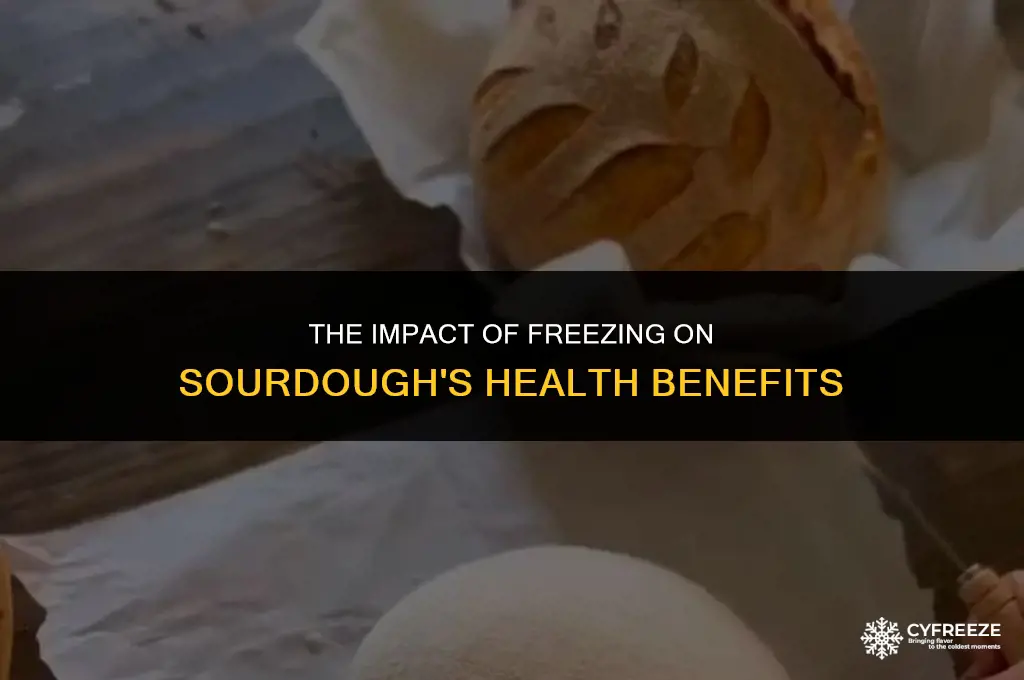does freezing sourdough make it healthier