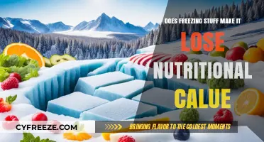 The Impact of Freezing on Nutrient Retention in Foods