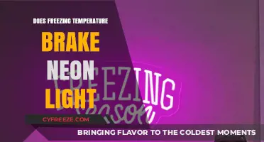 Can Freezing Temperatures Damage Neon Lights? Facts and Myths Explained