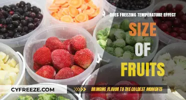 How Freezing Temperatures Impact the Size of Fruits: A Study