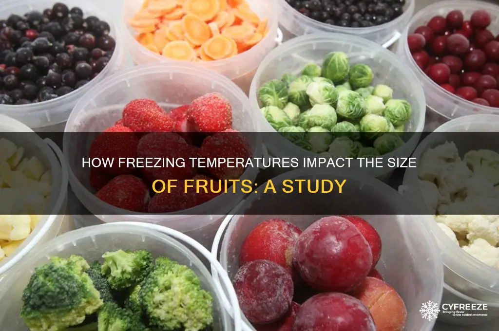 does freezing temperature effect size of fruits