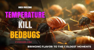 Can Freezing Temperatures Effectively Eliminate Bedbugs? The Chilling Truth