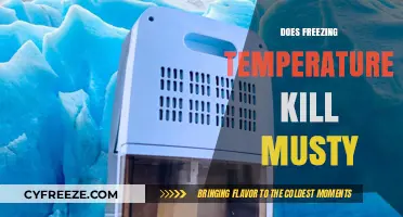 Can Freezing Temperatures Eliminate Musty Odors? The Science Explained