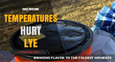 Does Freezing Temperatures Affect Lye's Properties and Safety?