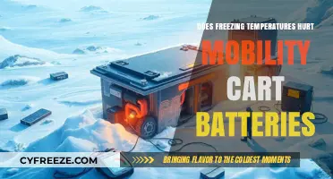 Freezing Temps Impact: How Cold Weather Affects Mobility Cart Batteries