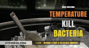 Can Freezing Temperatures Effectively Kill Bacteria? The Science Explained