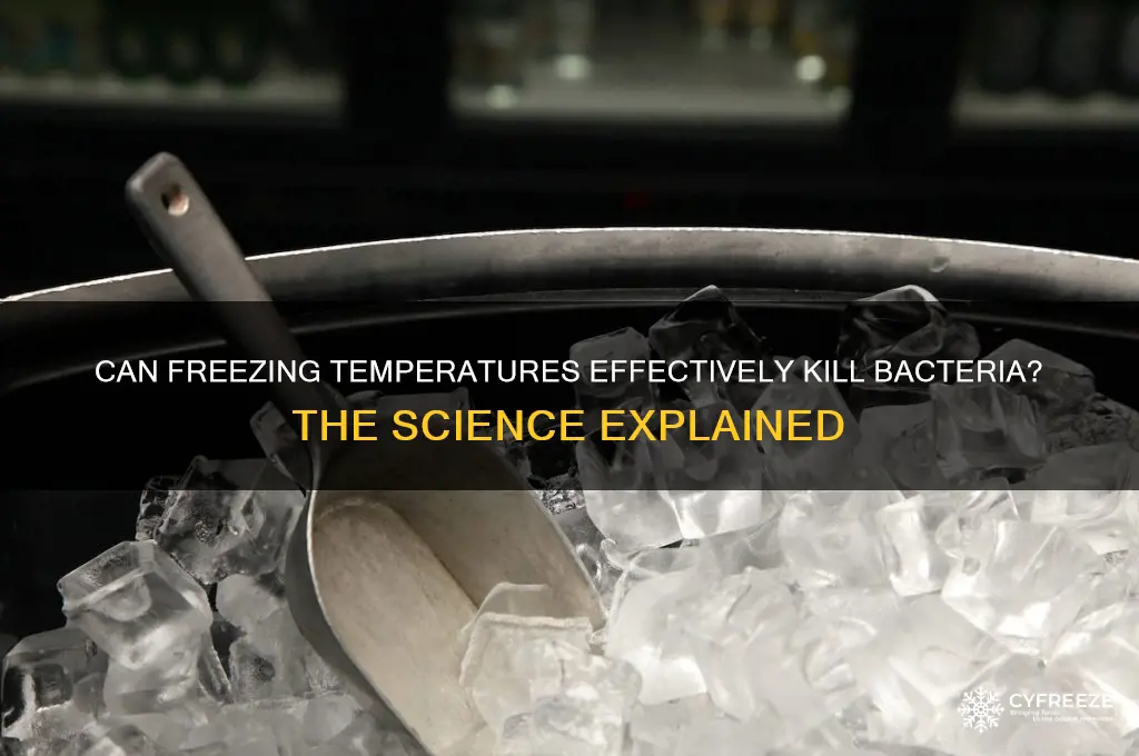 does freezing temperatures kill bacteria