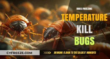 Can Freezing Temperatures Eliminate Bugs? Exploring Cold's Impact on Pests