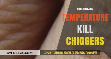 Can Freezing Temperatures Eliminate Chiggers? Uncovering the Cold Truth