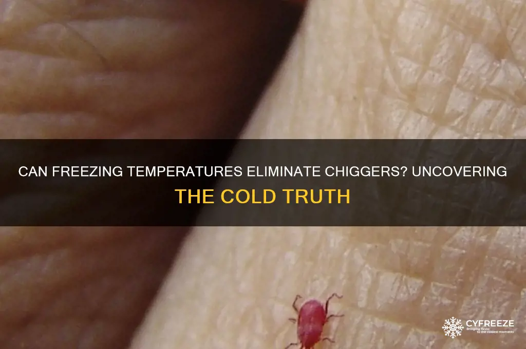 does freezing temperatures kill chiggers