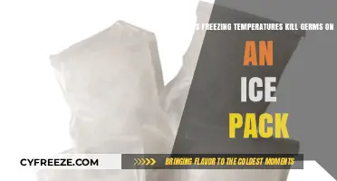 Chilling Truth: Do Freezing Temps Eliminate Germs on Ice Packs?