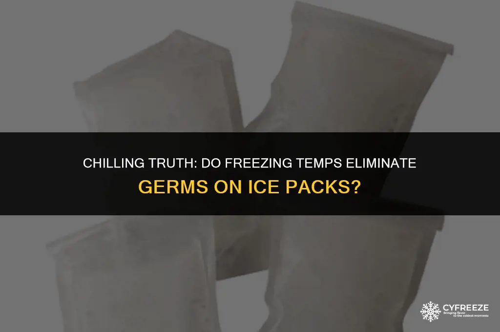 does freezing temperatures kill germs on an ice pack