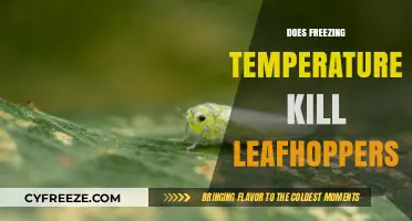 Can Freezing Temperatures Eliminate Leafhoppers? A Cold Weather Pest Analysis