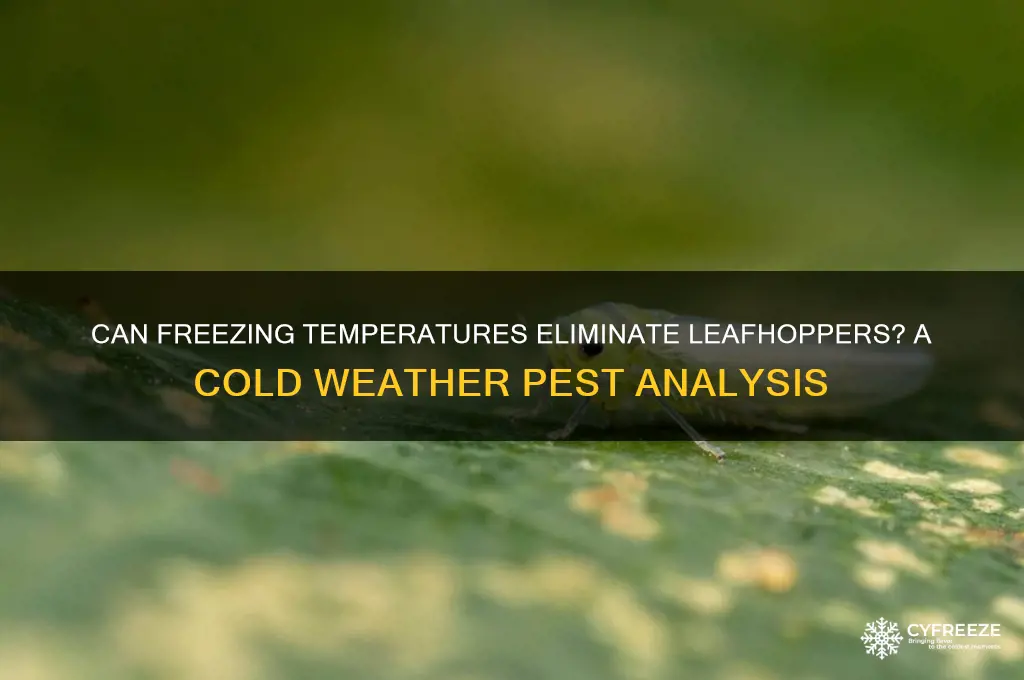 does freezing temperatures kill leafhoppers