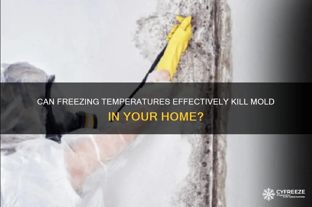 does freezing temperatures kill mold