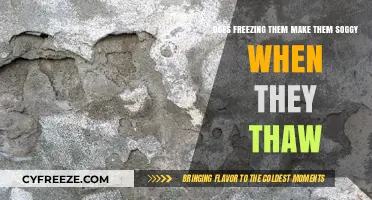 The Great Freeze: Thawing Tips to Retain Texture and Flavor